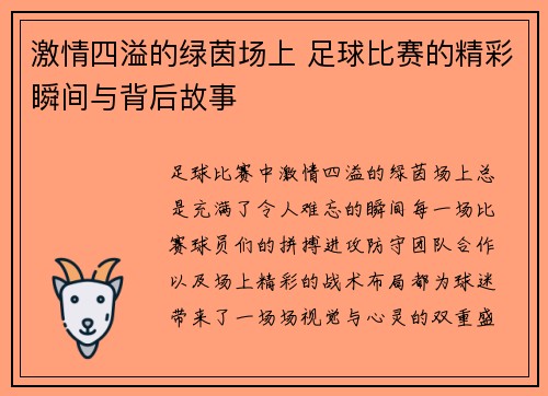 激情四溢的绿茵场上 足球比赛的精彩瞬间与背后故事